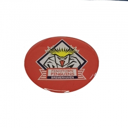 Fischtown Pinguins - Doming Aufkleber - Logo - 45mm